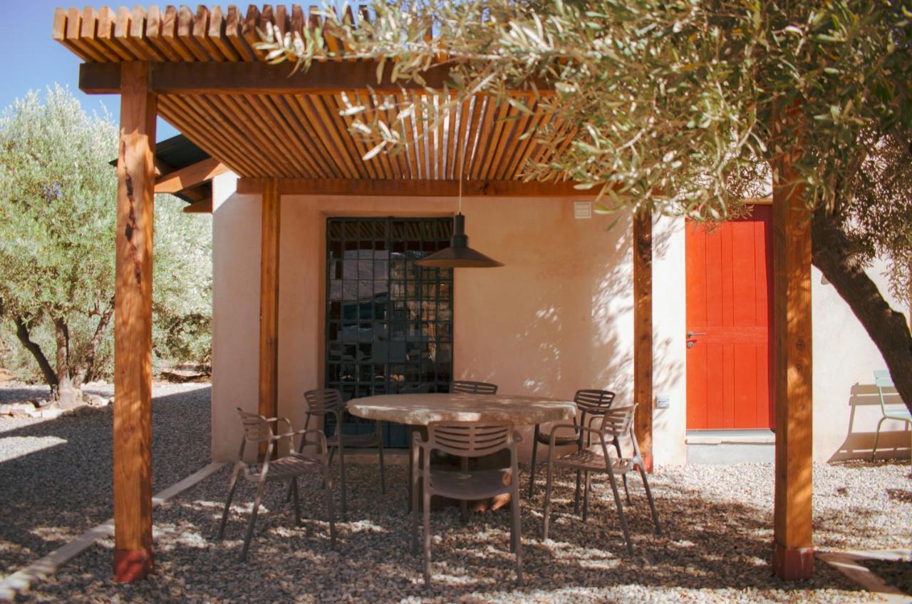 Alma Liebre Vinedos Del Valle Valle de Guadalupe Ngoại thất bức ảnh