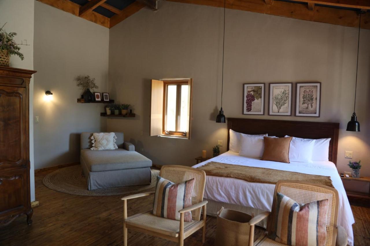 Alma Liebre Vinedos Del Valle Valle de Guadalupe Ngoại thất bức ảnh