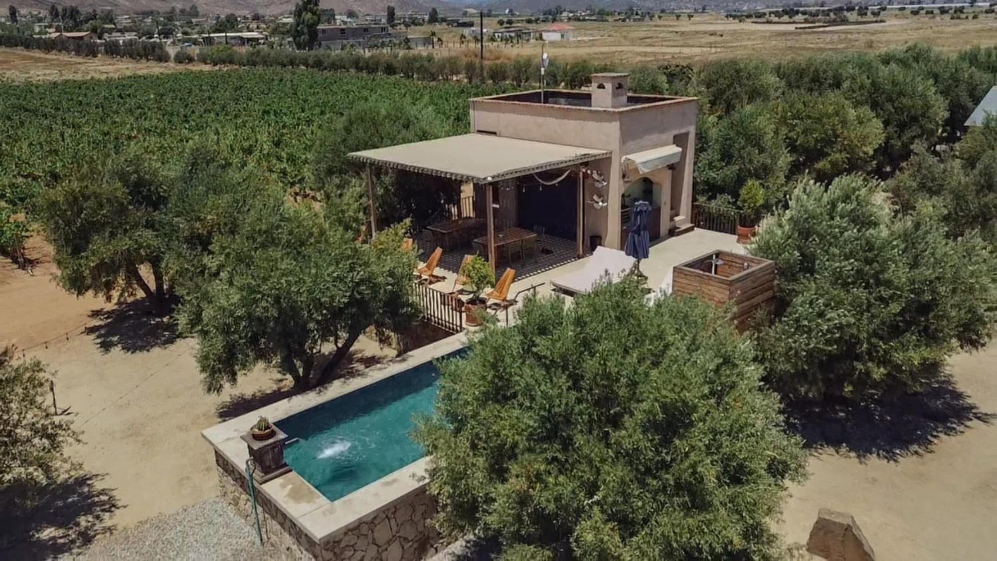 Alma Liebre Vinedos Del Valle Valle de Guadalupe Ngoại thất bức ảnh