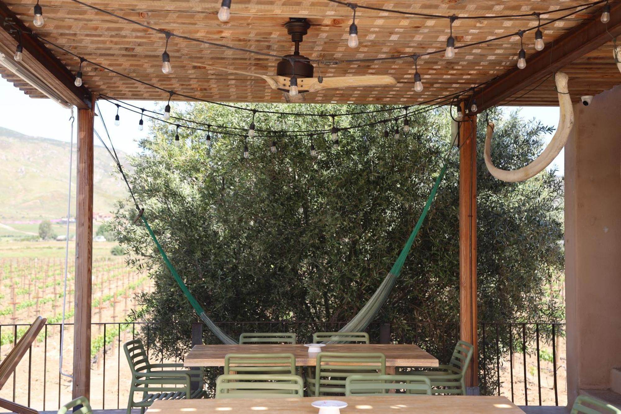 Alma Liebre Vinedos Del Valle Valle de Guadalupe Ngoại thất bức ảnh