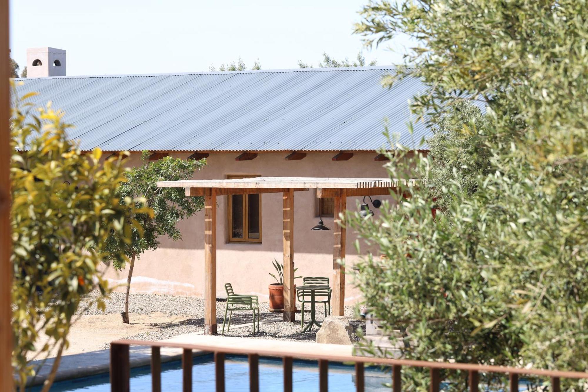 Alma Liebre Vinedos Del Valle Valle de Guadalupe Ngoại thất bức ảnh