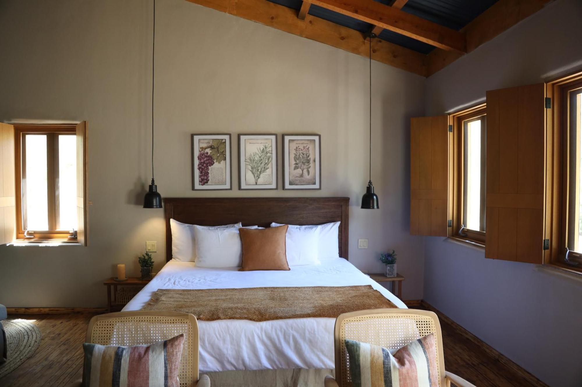 Alma Liebre Vinedos Del Valle Valle de Guadalupe Ngoại thất bức ảnh