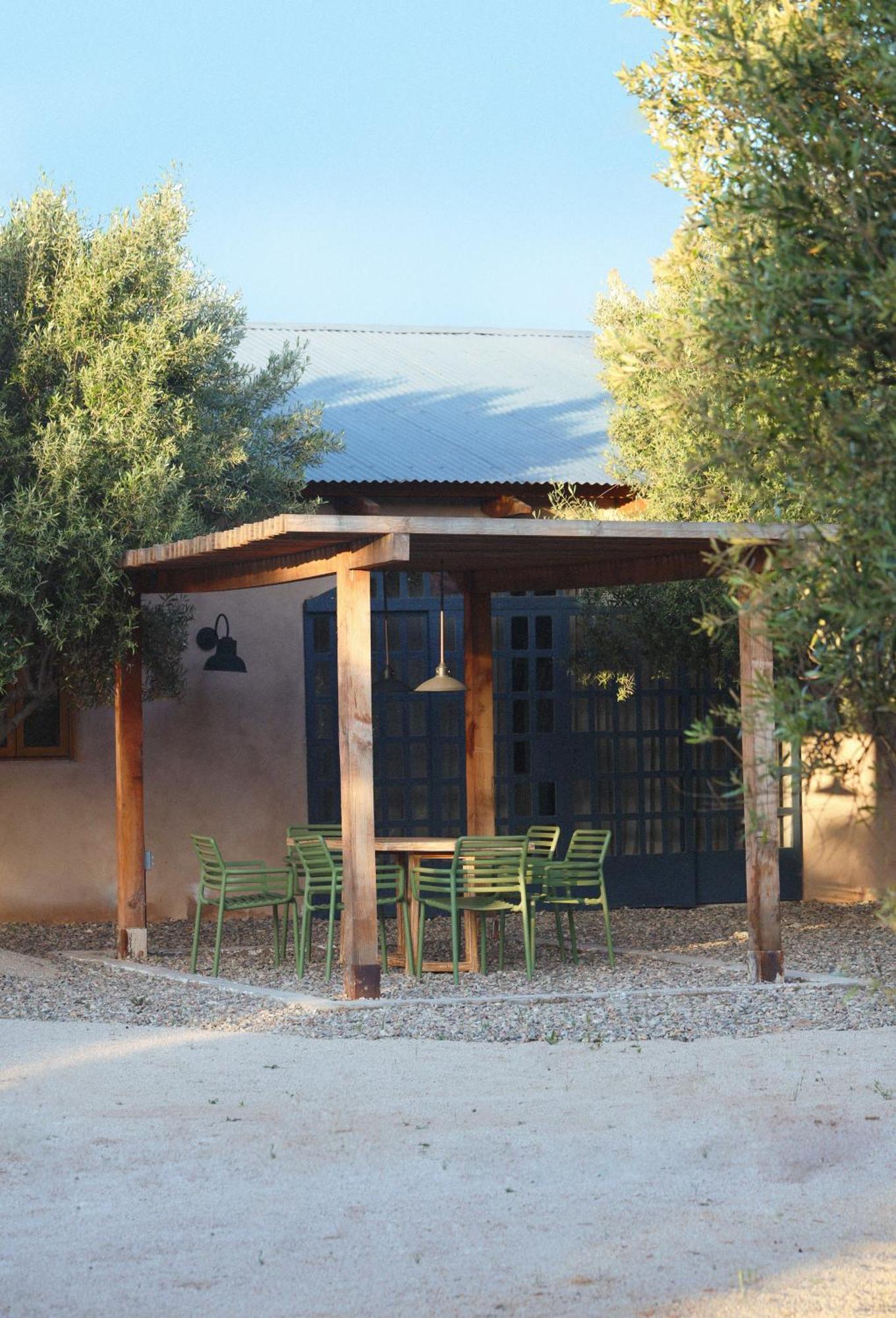 Alma Liebre Vinedos Del Valle Valle de Guadalupe Ngoại thất bức ảnh